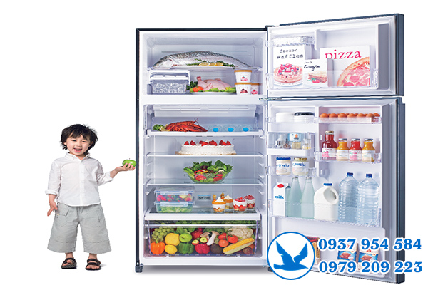 Trung tâm bảo hành tủ lạnh Toshiba tại tpHCM