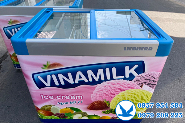 Thanh lý tủ đông tại nhà quận 3