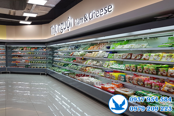 thanh lý tủ mát tại nhà TP Thủ Đức