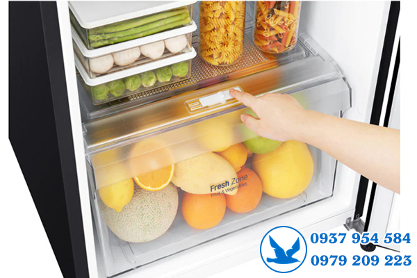 Hướng dẫn sử dụng tủ lạnh LG Inverter