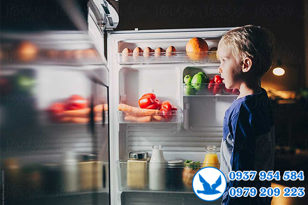 Hướng dẫn sử dụng tủ lạnh Medea Inverter