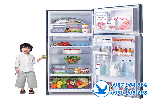 hướng dẫn sử dụng tủ lạnh Toshiba Inverter