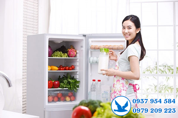 hướng dẫn sử dụng tủ lạnh Toshiba Inverter