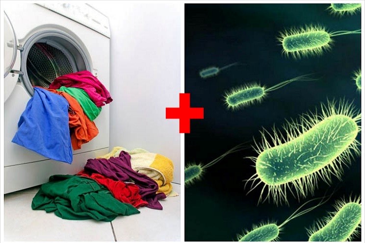 Vệ sinh máy giặt Vì sao nên vệ sinh máy giặt?