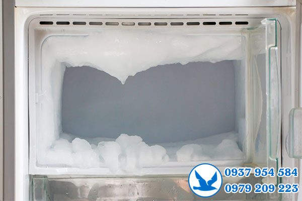 vệ sinh tủ lạnh tại Bình Dương