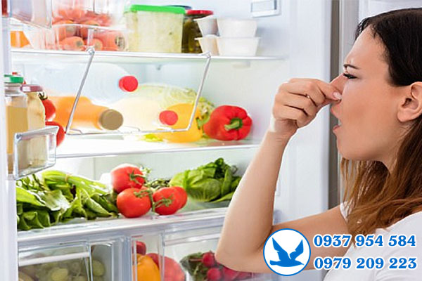 vệ sinh tủ lạnh tại quận 2
